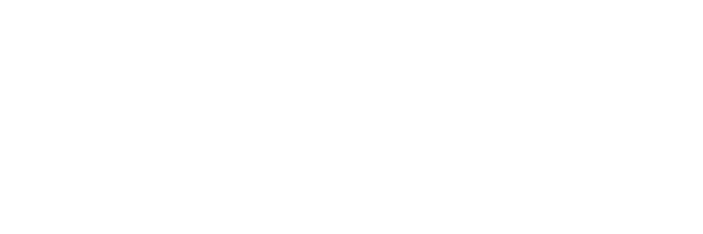 Chapters Logo white